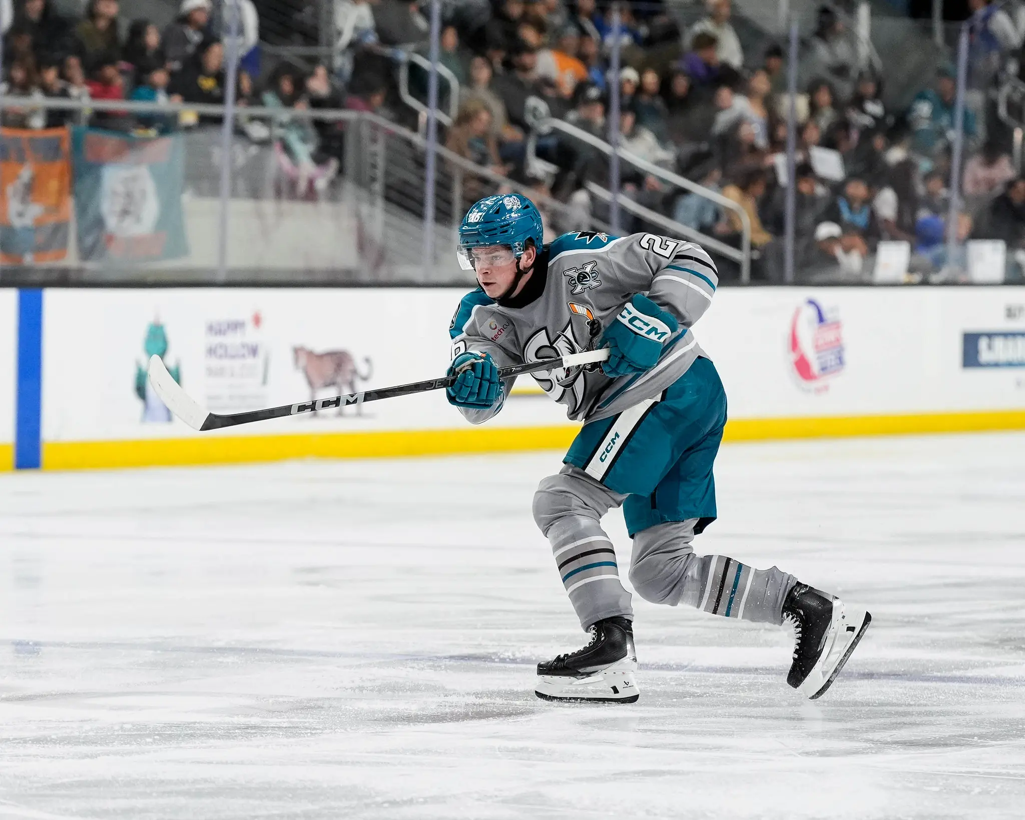 San Jose Barracuda defenseman Jack Thompson