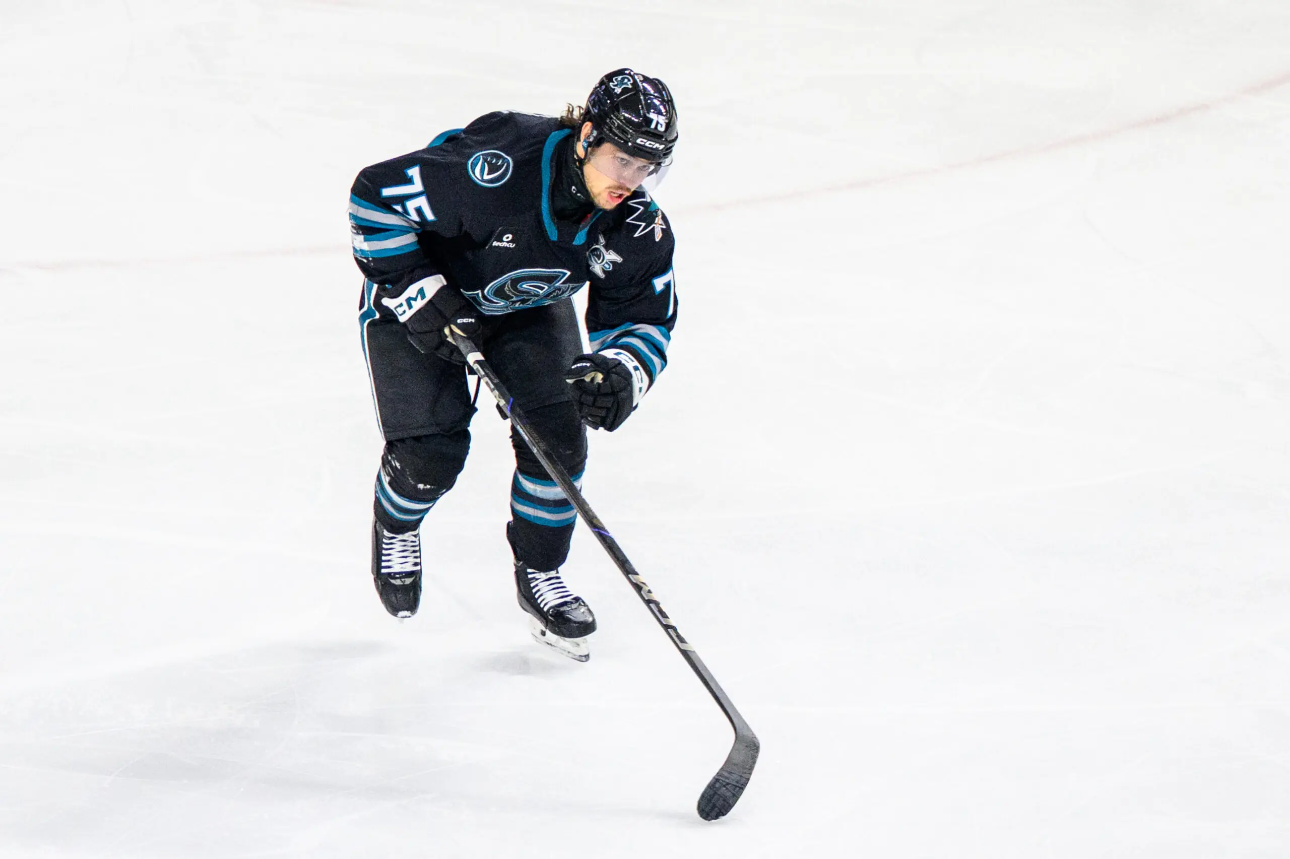 San Jose Sharks prospect Danil Gushchin