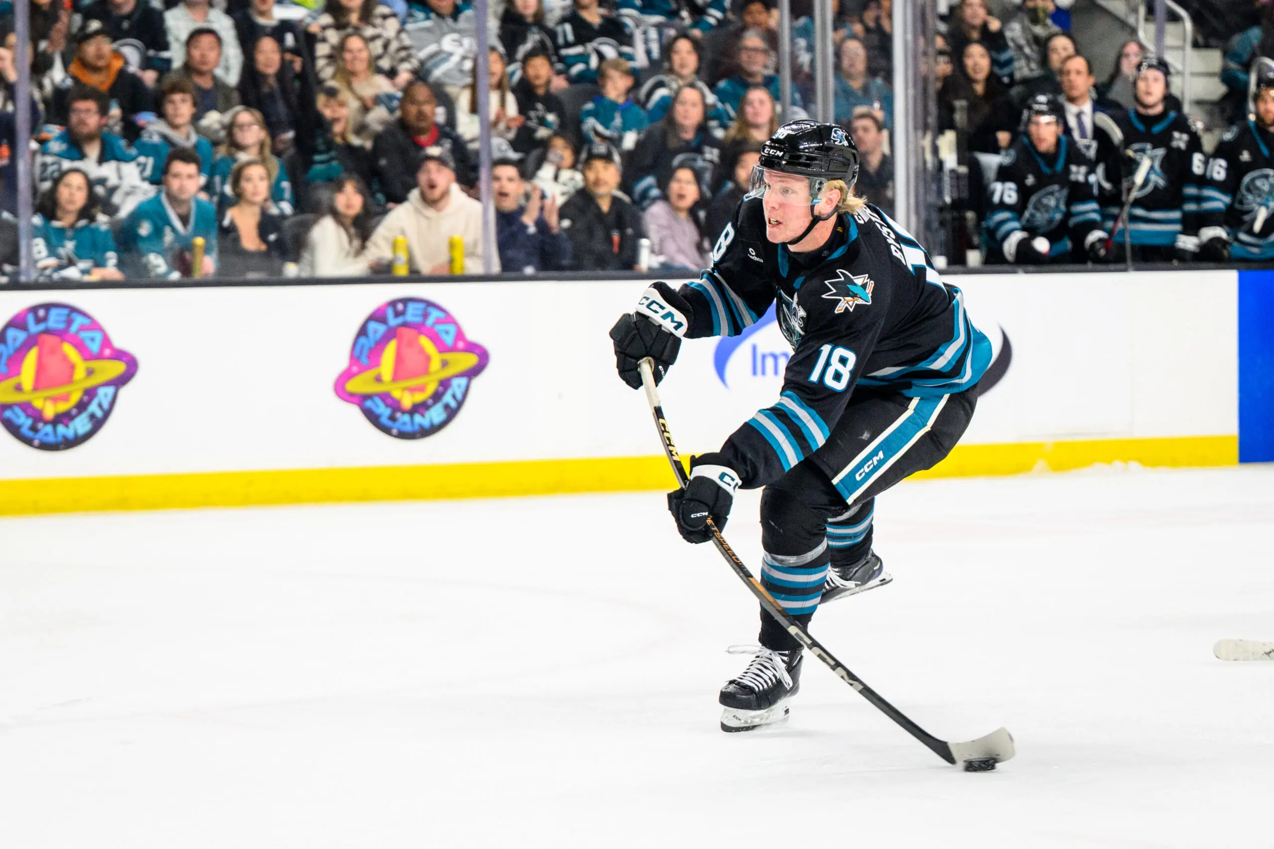 San Jose Sharks prospect Filip Bystedt