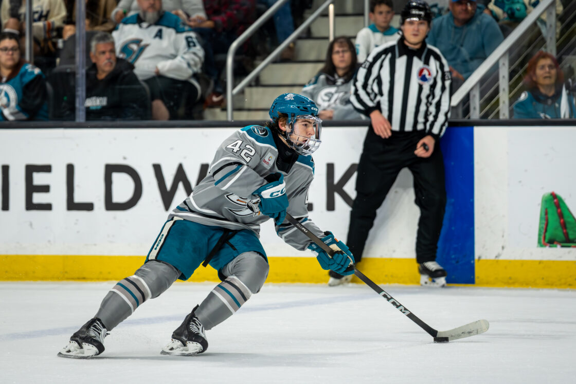 San Jose Sharks defenseman Luca Cagnoni