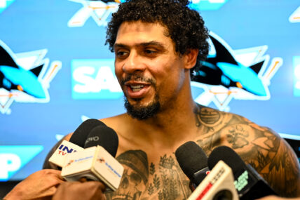 San Jose Sharks forward Ryan Reaves