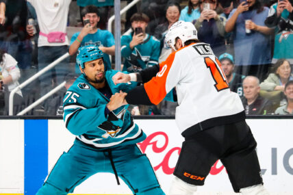San Jose Sharks forward Ryan Reaves