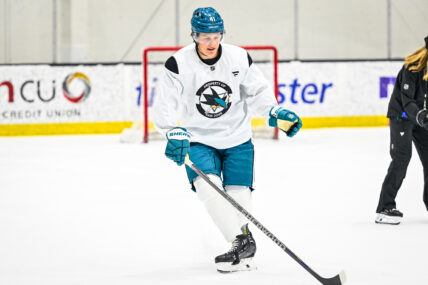 San Jose Sharks prospect Ivar Stenberg