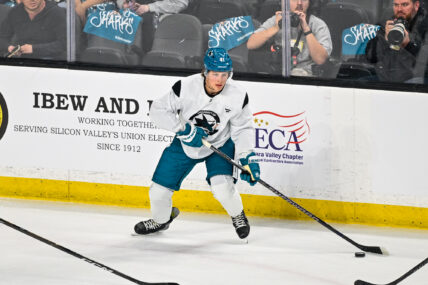 San Jose Sharks Forward Ivar Stenberg