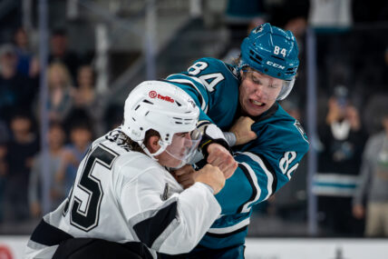 San Jose Sharks defenseman Alexander Karmanov