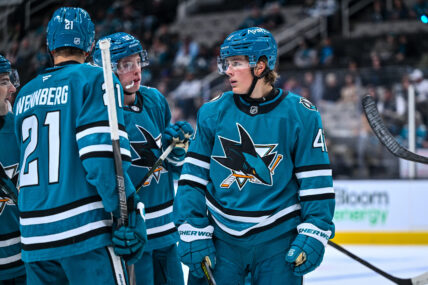 San Jose Sharks forwards talk before a face off