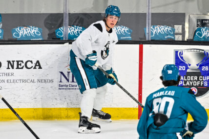 San Jose Sharks forward Ivar Stenberg