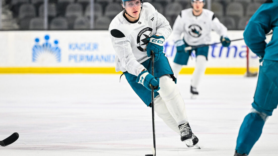 San Jose Sharks forward Igor Chernyshov