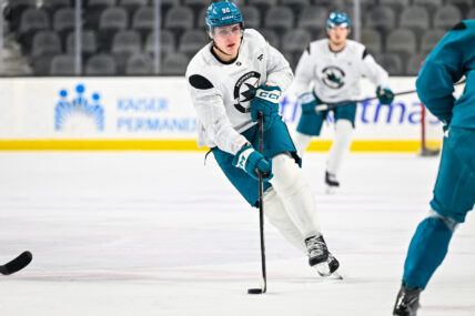 San Jose Sharks forward Igor Chernyshov