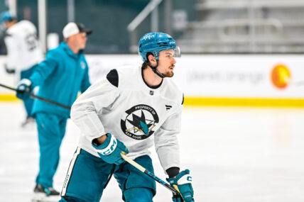 San Jose Sharks forward Zack Ostapchuk