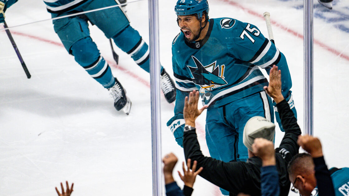 Former San Jose Sharks forward Ryan Reaves