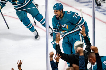 Former San Jose Sharks forward Ryan Reaves