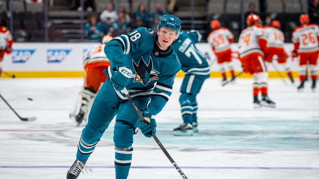 San Jose Sharks forward Filip Bystedt