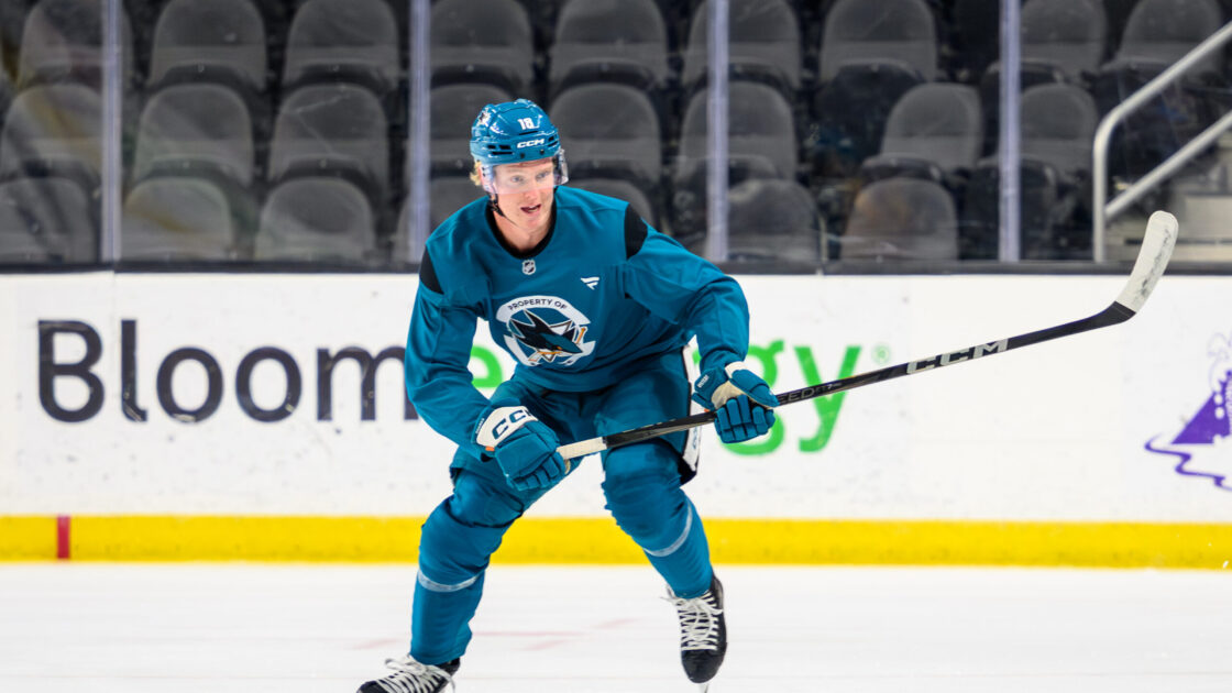San Jose Sharks center Filip Bystedt